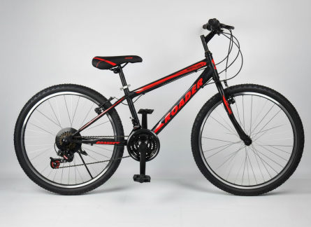 Roader Spor 24 Jant 21 Vites Dağ Bisikleti - Maceraya Hazır Bisiklet