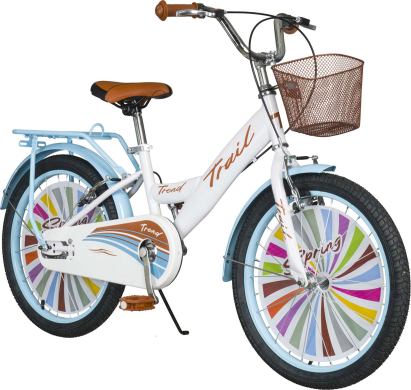 Trail Tr250 20 Jant Çocuk Bisiklet, 6-9 Yaş Çocuk Bisikleti