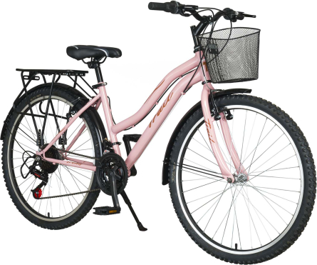 Trail Tr450 24 Jant Bisiklet, 21 Vites Bagajlı Şehir Dağ Bisikleti