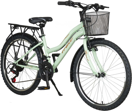 Trail Tr450 24 Jant Bisiklet, 21 Vites Bagajlı Şehir Dağ Bisikleti